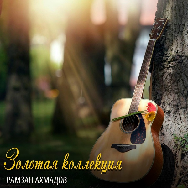 Рамзан Ахмадов - Доттаг1а