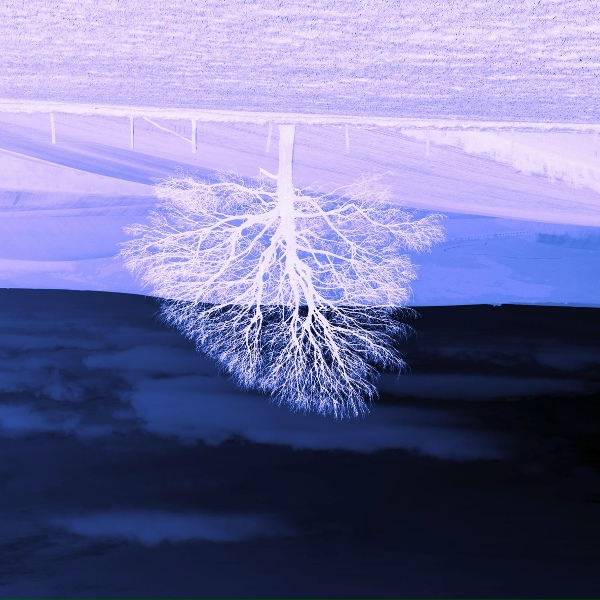 Oleg Byonic - The Symptom of the Stellar Equator