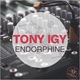 Tony Igy - Endorphine