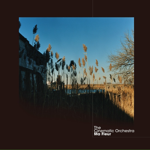 The Cinematic Orchestra - As The Stars Fall