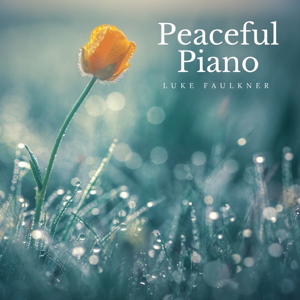 Luke Faulkner - Nocturnes, Op. 9: No. 2 in E-Flat Major, Andante