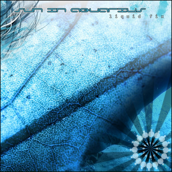 Sun In Aquarius - Enigmatic Vibrations