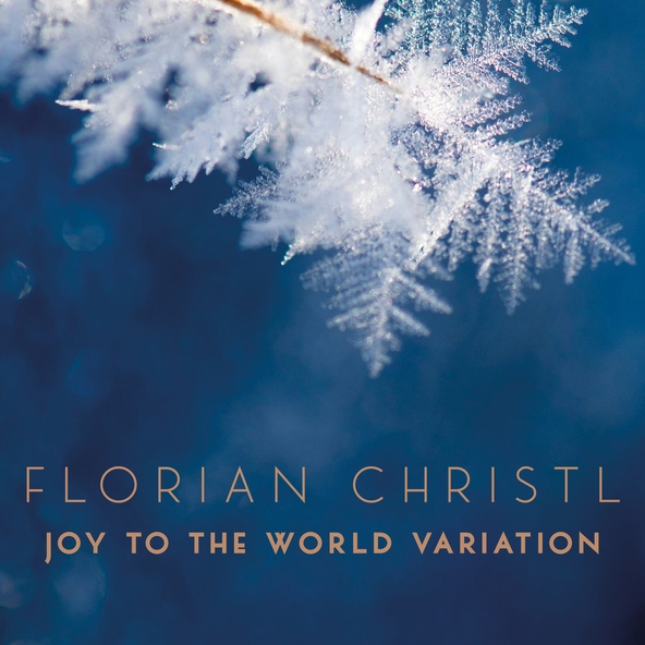 Florian Christl - Joy to the World Variation