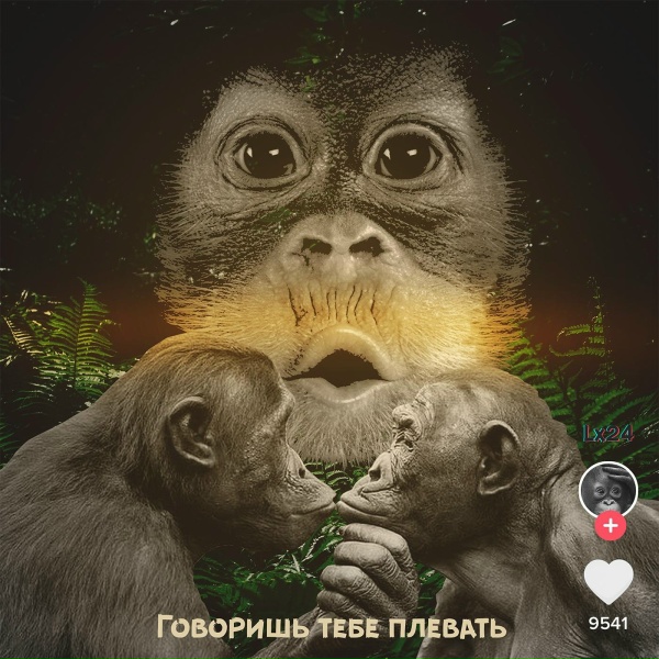 Lx24 - Говоришь тебе плевать (For Challenge)