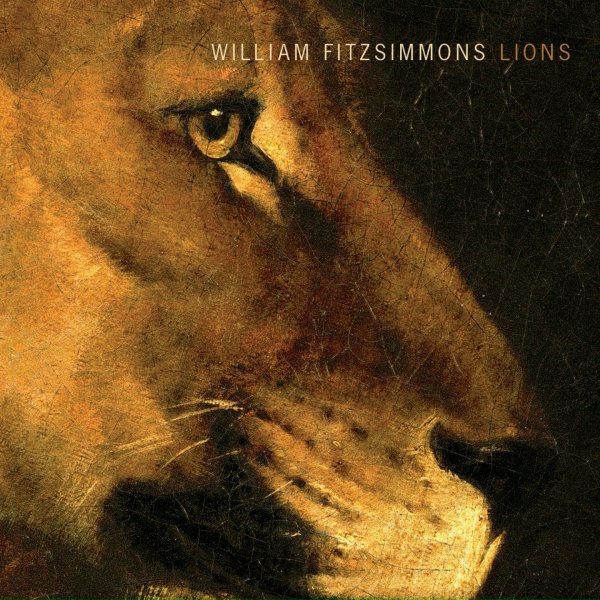 William Fitzsimmons - Brandon