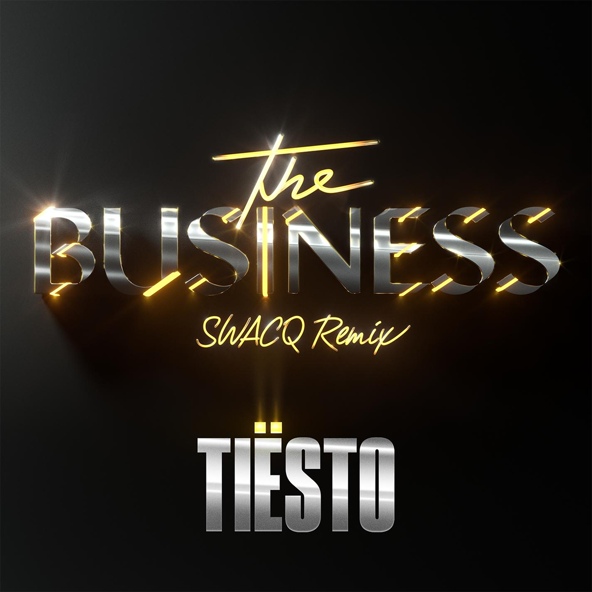 Ti&euml;sto - The Business