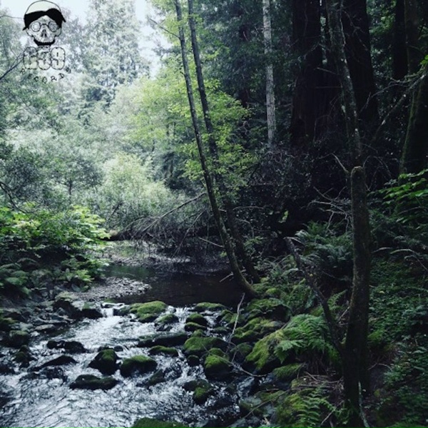 Ramirez feat. $uicideboy$ - Sarcophagus II