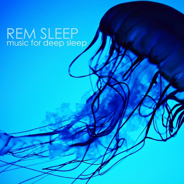Sleep Music Dream - Night Break (Deep Sleep)