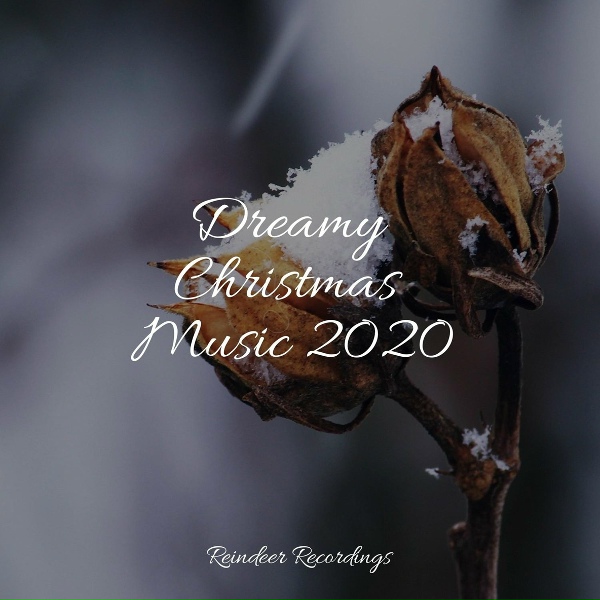 Celtic Christmas Academy, Musique de Noel Academie, New Years Eve Djs Collective - Divine Miracles