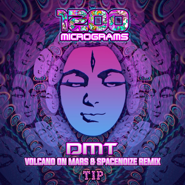 1200 Micrograms - DMT