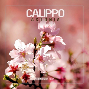 Calippo - I Just Go Crazy