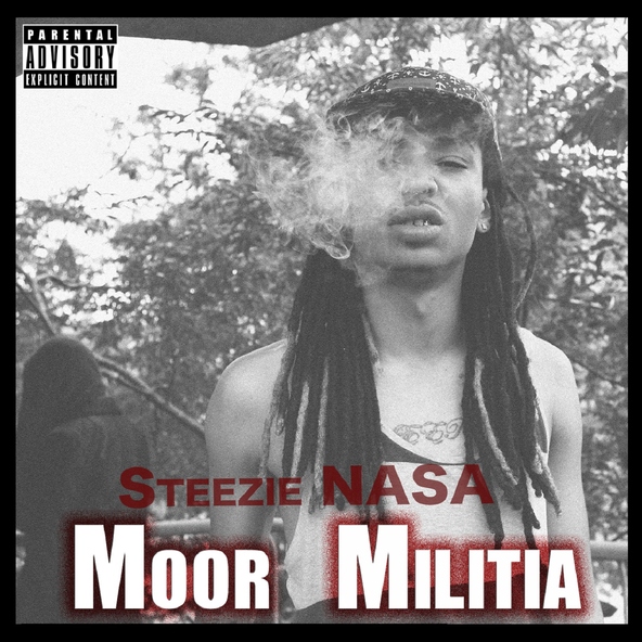 Steezie NASA - Like You Mean it