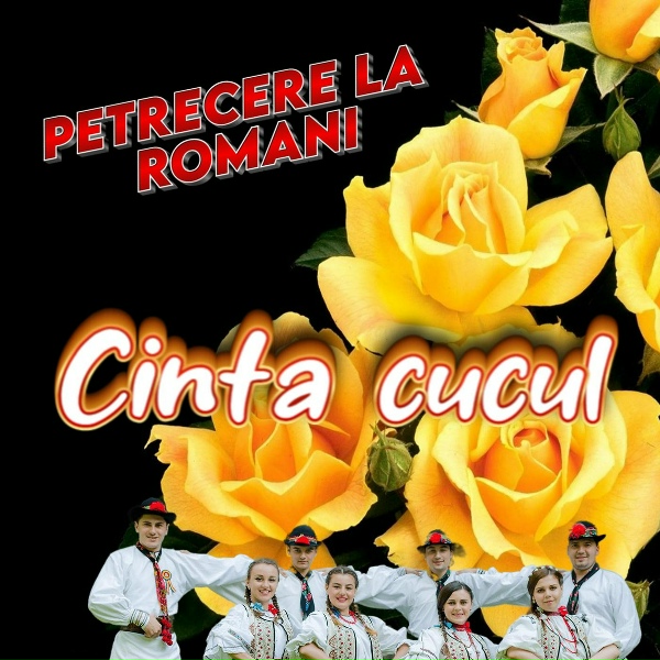 Petrecere la Romani - Copil Orfan