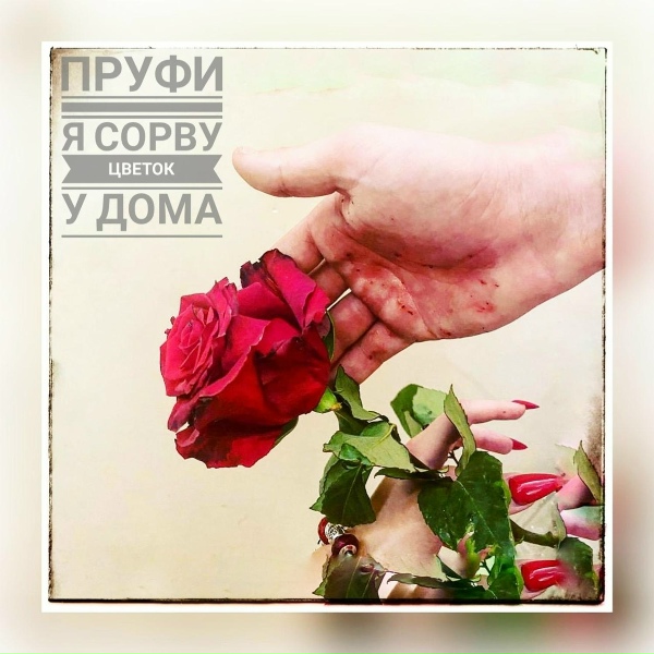 Пруфи - Я сорву цветок у дома