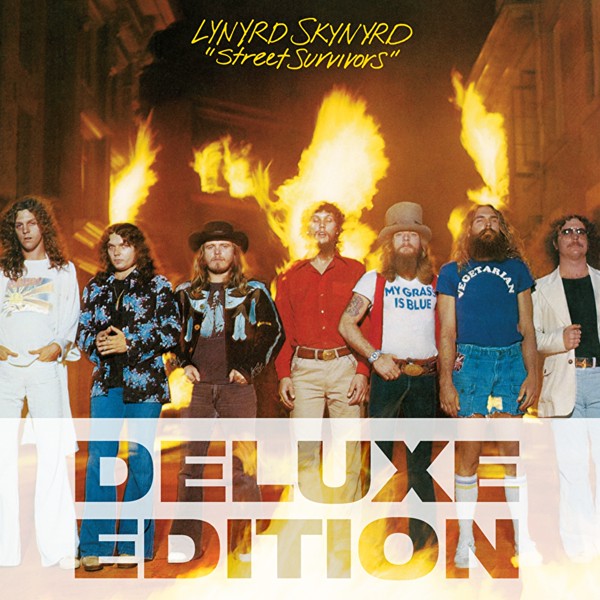 Lynyrd Skynyrd - Sweet Little Missy