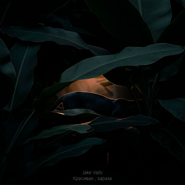 Jake Vails - Красивая , зараза