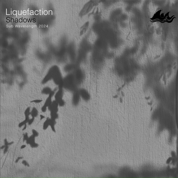 Liquefaction - Intimate
