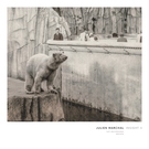 Julien Marchal - Insight XXII