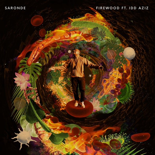 Saronde feat. Idd Aziz - Firewood