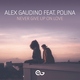 Alex Gaudino feat. Polina - Never Give Up on Love (feat. Polina)