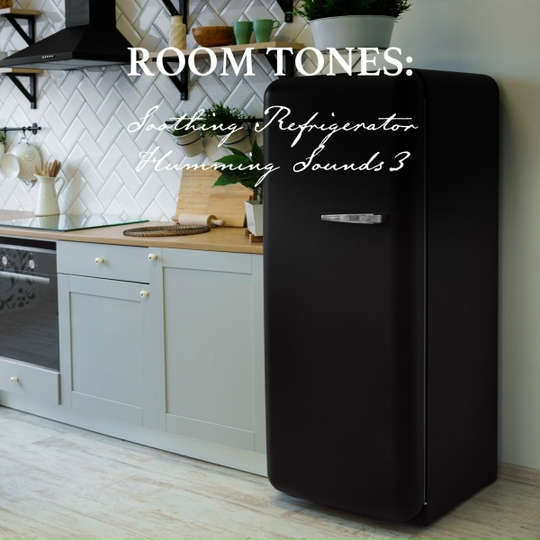 Nowak Sommer - Soothing Refrigerator Humming Sounds, Pt. 2