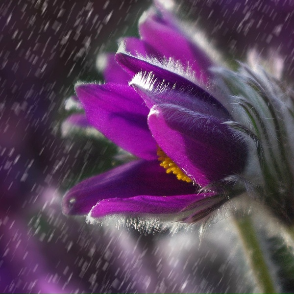 Spa Relaxation, The Sleep Helpers, Chakra Meditation Universe - Night Droplets