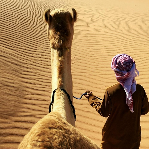 SHILDANY - Bedouin