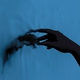 TENDER - Vow