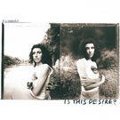 PJ Harvey - The Wind