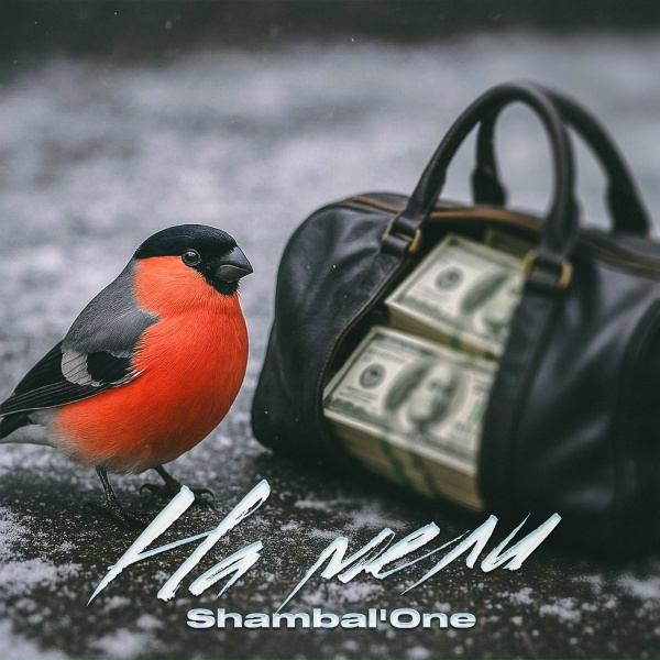 Shambal'One - На мели
