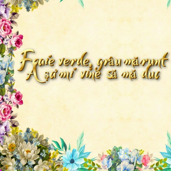 Muzica Moldoveneasca - Mo facut mama asa