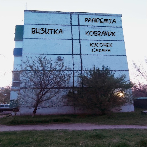 PANDEMIA, KOBRAVDK, кусочек сахара - Визитка