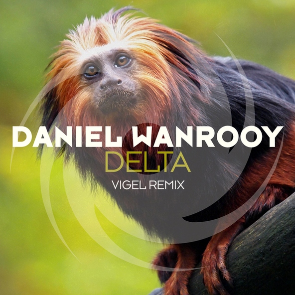 Daniel Wanrooy - Delta(Vigel Remix)