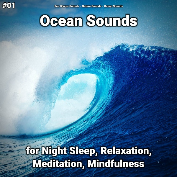 Sea Waves Sounds, Nature Sounds, Ocean Sounds - Ocean Sounds Pt. 65