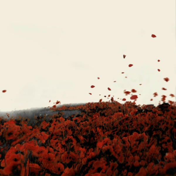 Nakani - Escalations