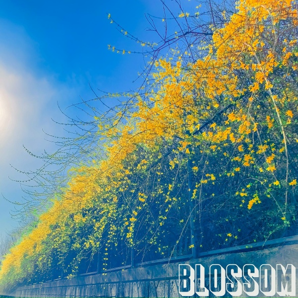 HEPBURNSTYLE - Detour