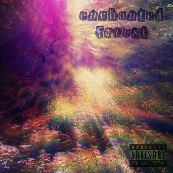 2AMstretch - Summer Dayz