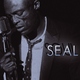 Seal - I Can't Stand the Rain