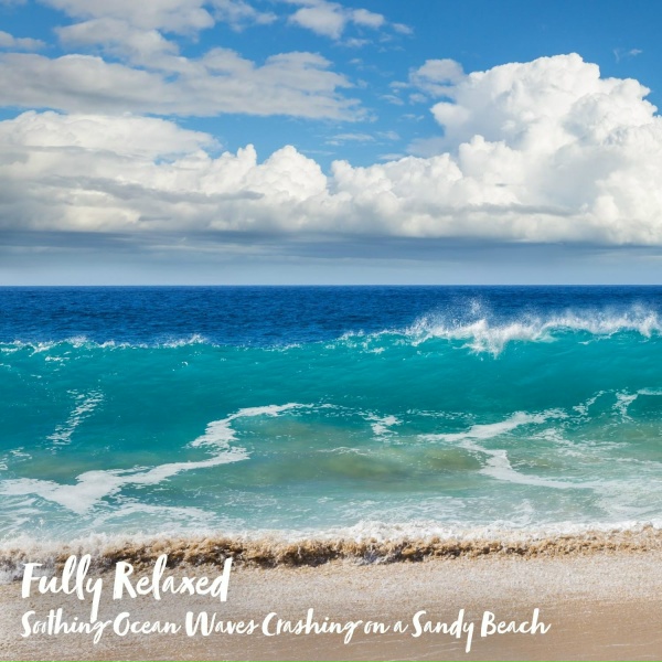 Steve Brassel - Soothing Ocean Waves Crashing on a Sandy Beach, Pt. 13