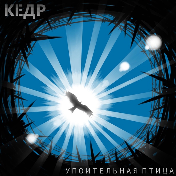КЕДР