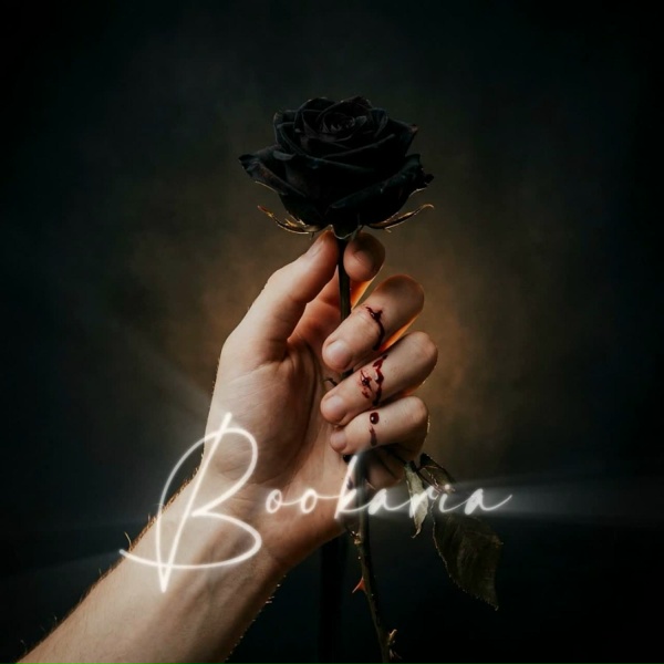 BookAria - Наследник