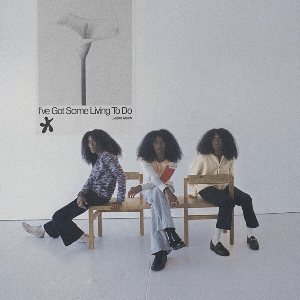 Jelani Aryeh - The Millennium Express