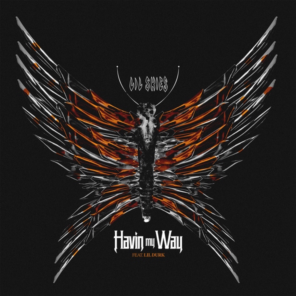 Lil Skies feat. Lil Durk - Havin My Way (feat. Lil Durk)