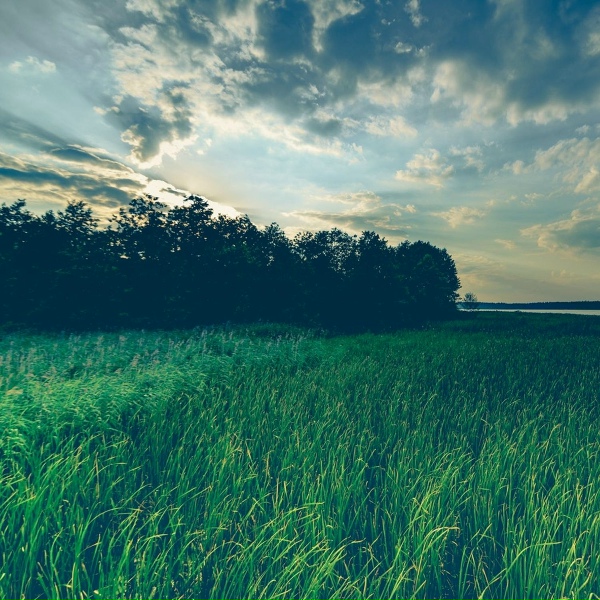 White Noise Baby Sleep, Meditative Music Guru, Alpha Waves - Hush Lullaby