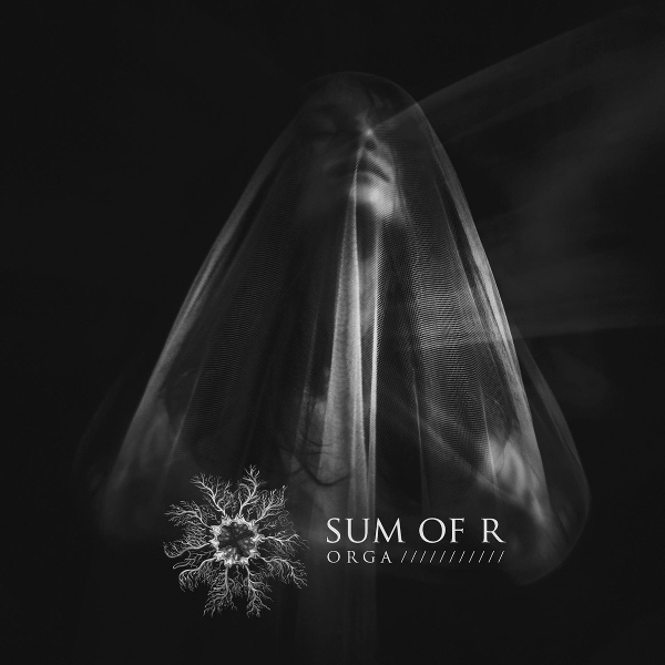 Sum Of R - Light & Dust