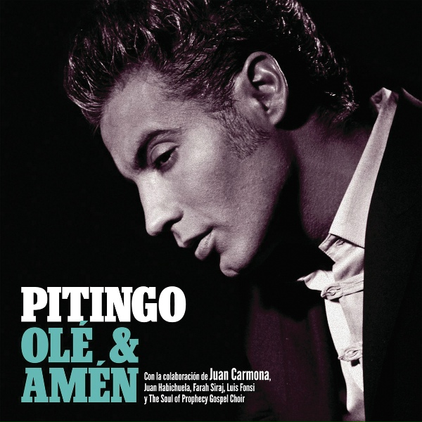 Pitingo - Lucha Por Su Dinero (She Works Hard For The Money )