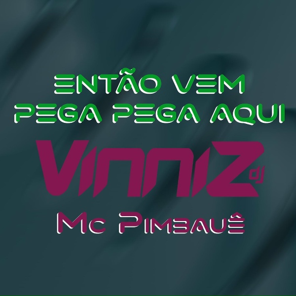Vinniz Dj feat. Mc Pimbauê