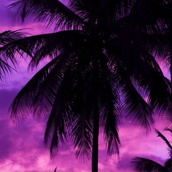 djkhas - Love and Night