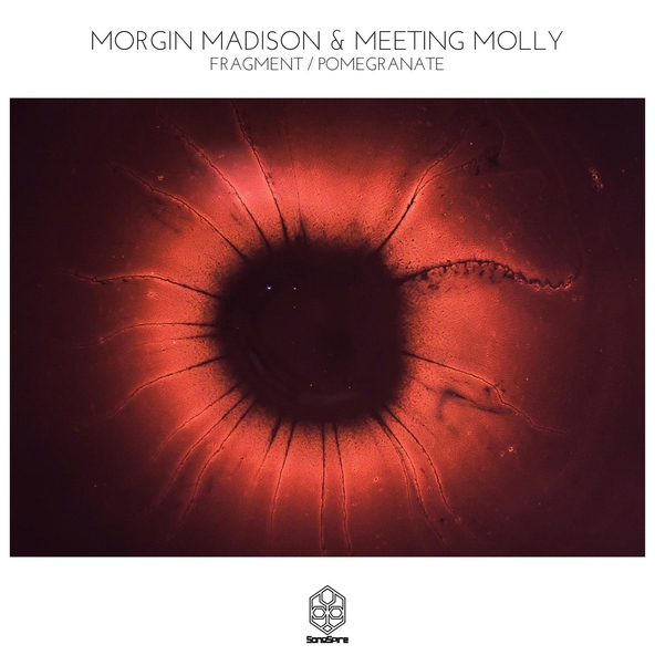 Morgin Madison, Meeting Molly - Fragment