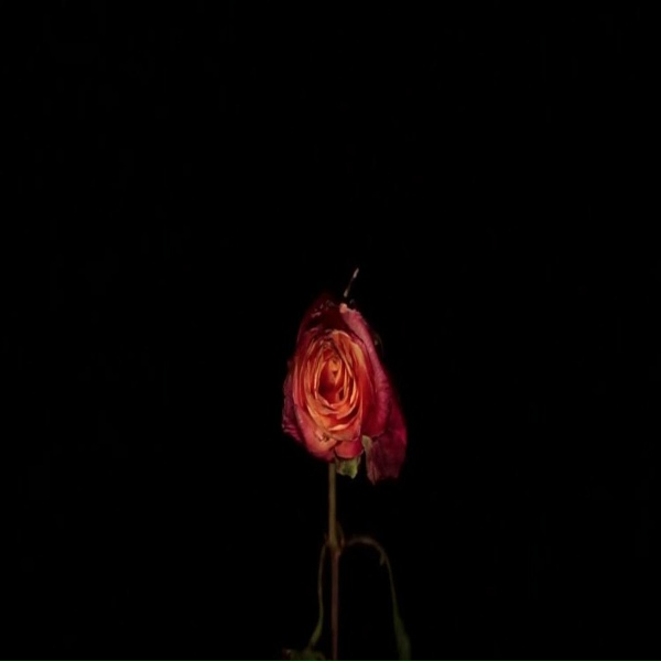 TVBUU - Dillion James